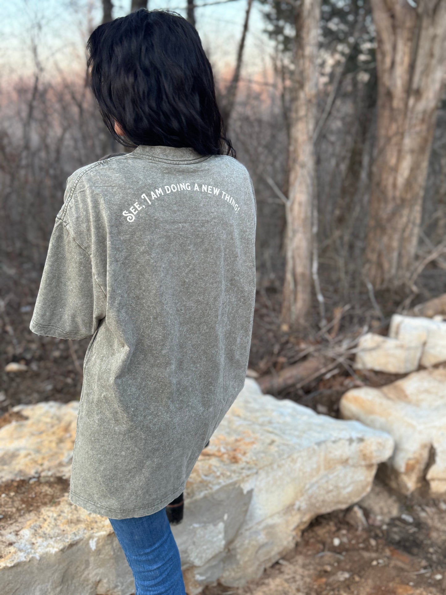 Desert Wilderness Vintage Oversize Tee